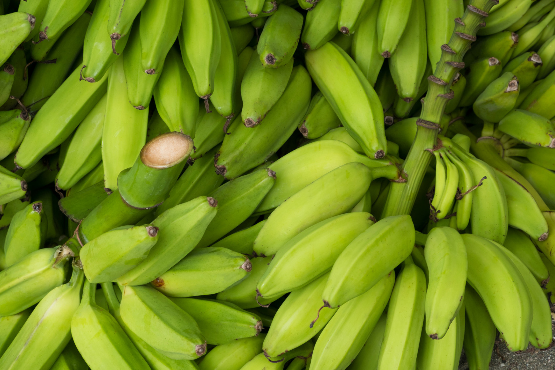 Banane Plantain
