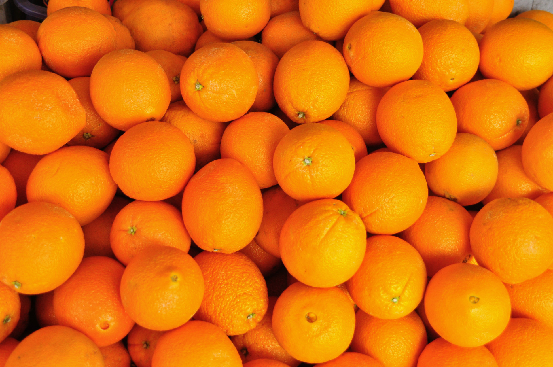 Orange Amères